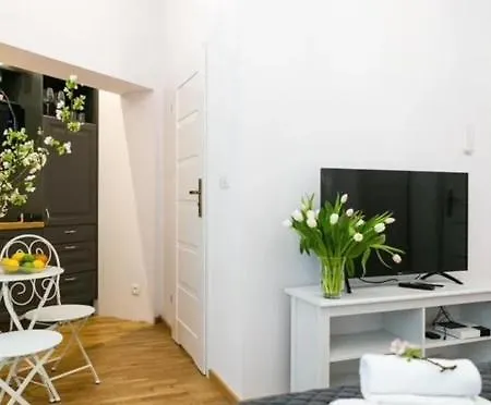 Apartment Old Town - Wielopole W6